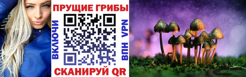Псилоцибиновые грибы Psilocybe хочу наркоту Горбатов