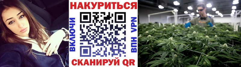 Бошки Шишки MAZAR  Горбатов 